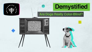 Find out whether dogs are really colour-blind