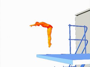 Note that a diver rotates forward one-half or more turns before hitting the water in a forward dive