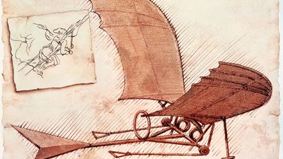 Leonardo da Vinci's flying machine