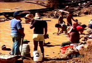 Learn about effects of mercury used in gold mining on drinking water of innocent wildlife in Amazon Basin