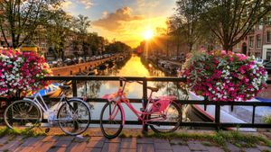 Explore Amsterdam's numerous canals, canal houses, the city center, the Droog design collective, and the city's museum district with the iconic Museum Van Loon