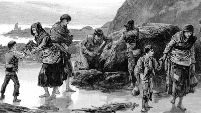 Learn how the Great Famine devastated the Irish population and sparked starvation and migration