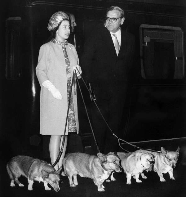 Queen Elizabeth II arrives at King&#39;s Cross railway station in London, England, October 15, 1969 with her four dogs of corgis breed after holidays in Balmoral Castle, Ballater, Scotland, and before welcoming at Buckingham Palace the U.S. astronauts of Apollo 11 who walked on the Moon. (British royalty)
