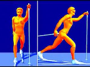 Break down cross-country skiing's classical diagonal stride that is used primarily on uphills but is also common on flats
