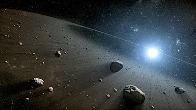 Vega. asteroid. Artist's concept of an asteroid belt around the bright star Vega. Evidence for this warm ring of debris was found using NASA's Spitzer Space Telescope, and the European Space Agency's Herschel Space Observatory. asteroids